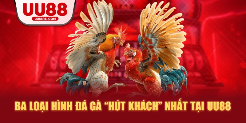 Đá Gà UU88 – Sảnh Giải Trí Thượng Hạng Cho Kê Thủ - sivip.run
