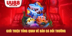 Bắn Cá UU88 – Săn Thưởng Cực Đỉnh Ngập Tràn Sự Kiện - sivip.run