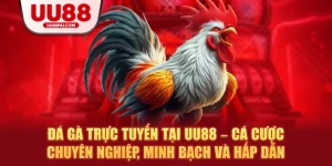 Đá Gà UU88 – Sảnh Giải Trí Thượng Hạng Cho Kê Thủ - sivip.run
