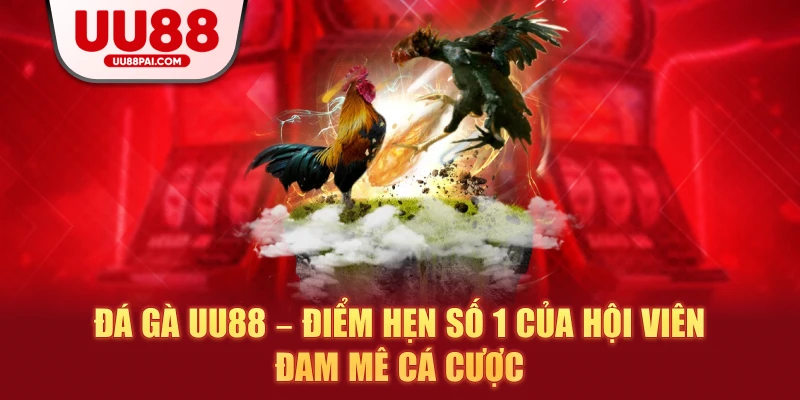 Đá Gà UU88 – Sảnh Giải Trí Thượng Hạng Cho Kê Thủ - sivip.run