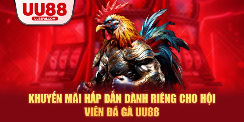 Đá Gà UU88 – Sảnh Giải Trí Thượng Hạng Cho Kê Thủ - sivip.run