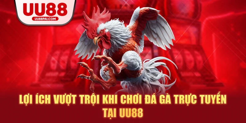 Đá gà trực tuyến tại UU88 – Cá cược chuyên nghiệp, minh bạch và hấp dẫn - sivip.run